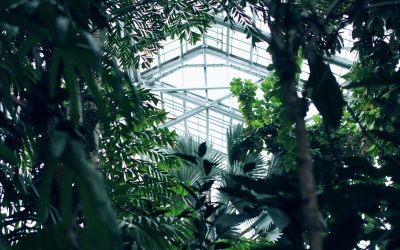 Environmental Protection, ESG & Sustainable Finance
