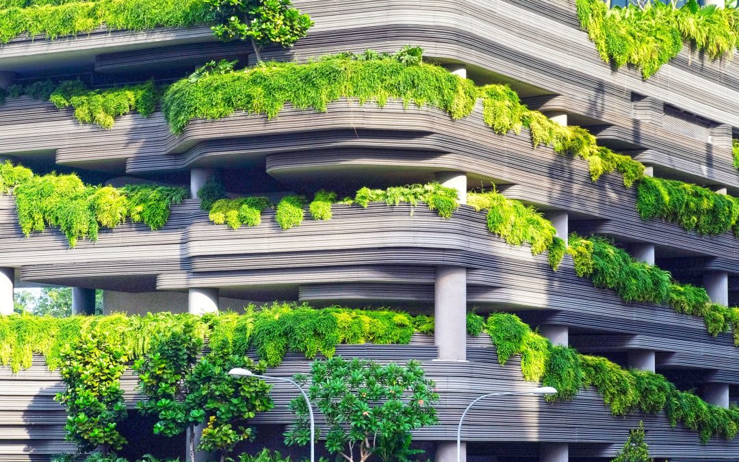 Achieving Green Economic Growth Through Sustainable Lending