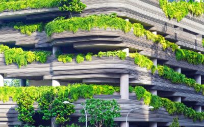 Green Economic Growth & Sustainable Finance