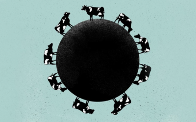 How to Quantify Sustainability’s Impact on Your Bottom Line